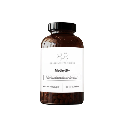 MethylB+